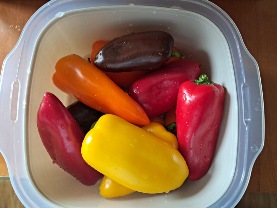 미니파프리카(가정용) 3kg