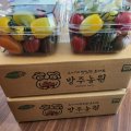 GAP인증 대추방울토마토 2kg / 4kg / 5kg 당일수확