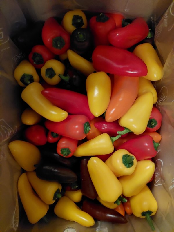 미니파프리카(가정용) 3kg