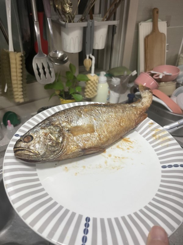 수림맛특굴비x10미(33cm내외)