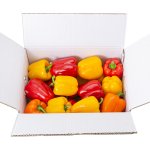 파프리카 5kg (내수용)