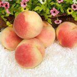 복숭아 4kg 중과 (백도-말랑 복숭아)                                    14과~16과